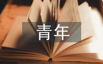 青年大活動總結