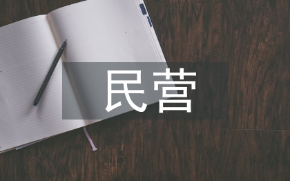 關于民營企業發展