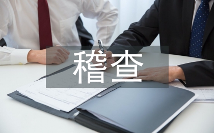 稽查工作要點