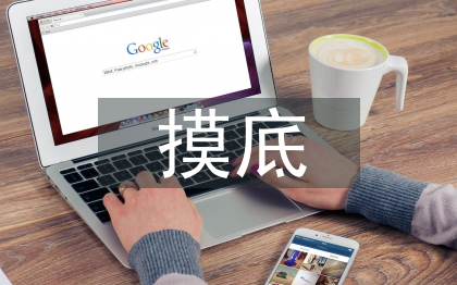 摸底調(diào)查報告