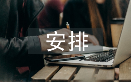 宣傳工作安排意見