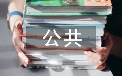 公共文化論文