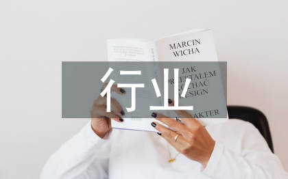 it行業半年工作總結