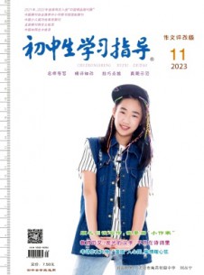 初中生學(xué)習(xí)指導(dǎo)雜志